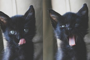 开云体育网页入口-亚洲预选赛烽火连天，韩国队绝地反击，冲击奥运资格，亚洲区预选赛韩国赛程