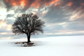 KAIYUN 中国大陆-乒乓球技术分析系统投入实战测试，乒乓球技战术数据分析平台