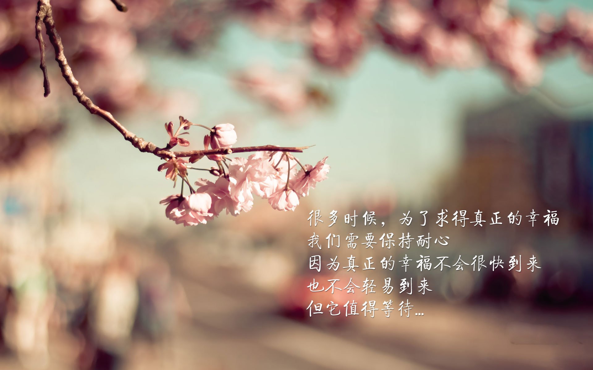 CBA总决赛首战广东主场开门红,cba总决赛广东主赛场在哪