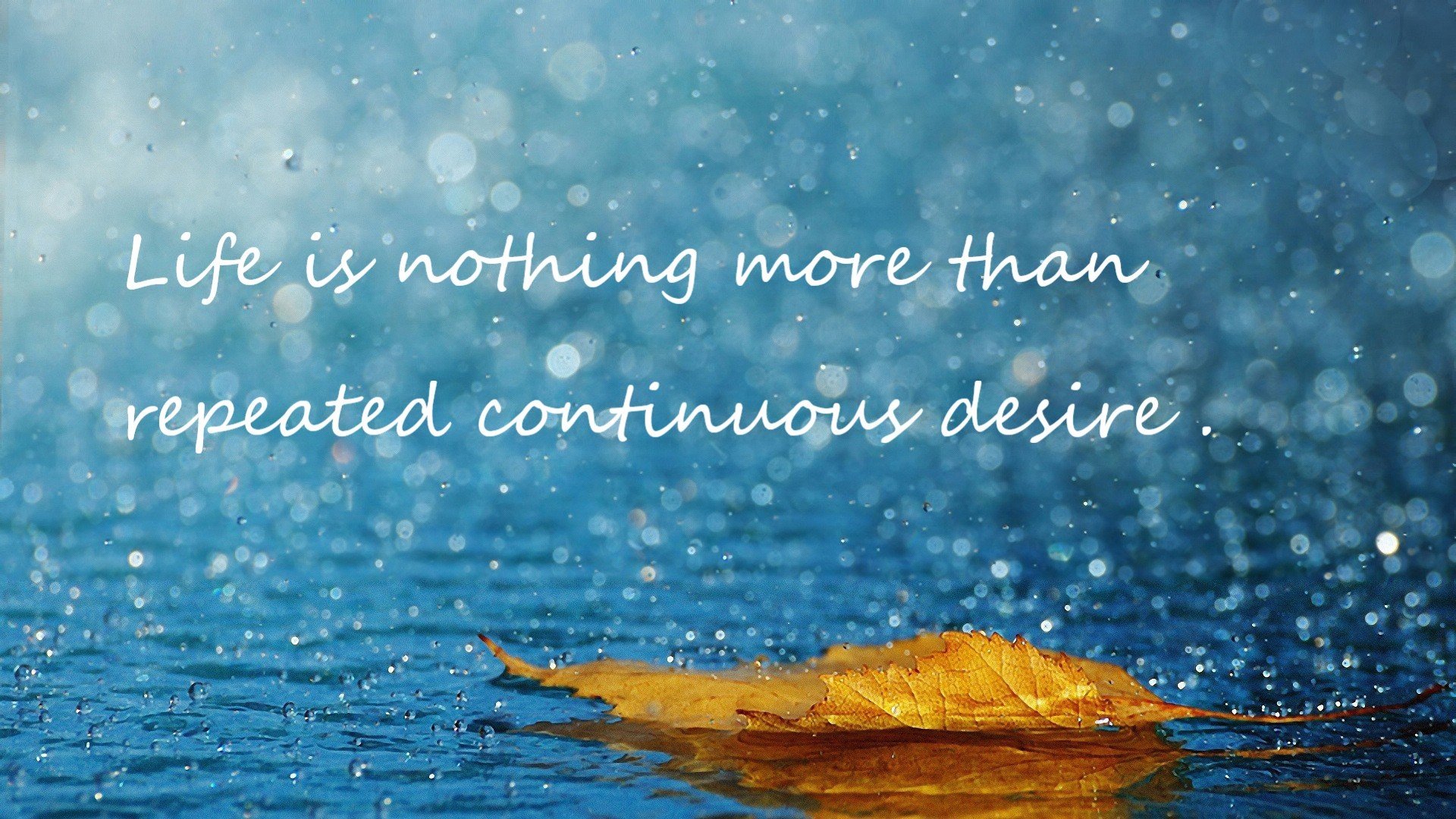 “壁球高手对决:在高新区全民健身馆,你看到的不仅仅是技巧,更是心跳!”