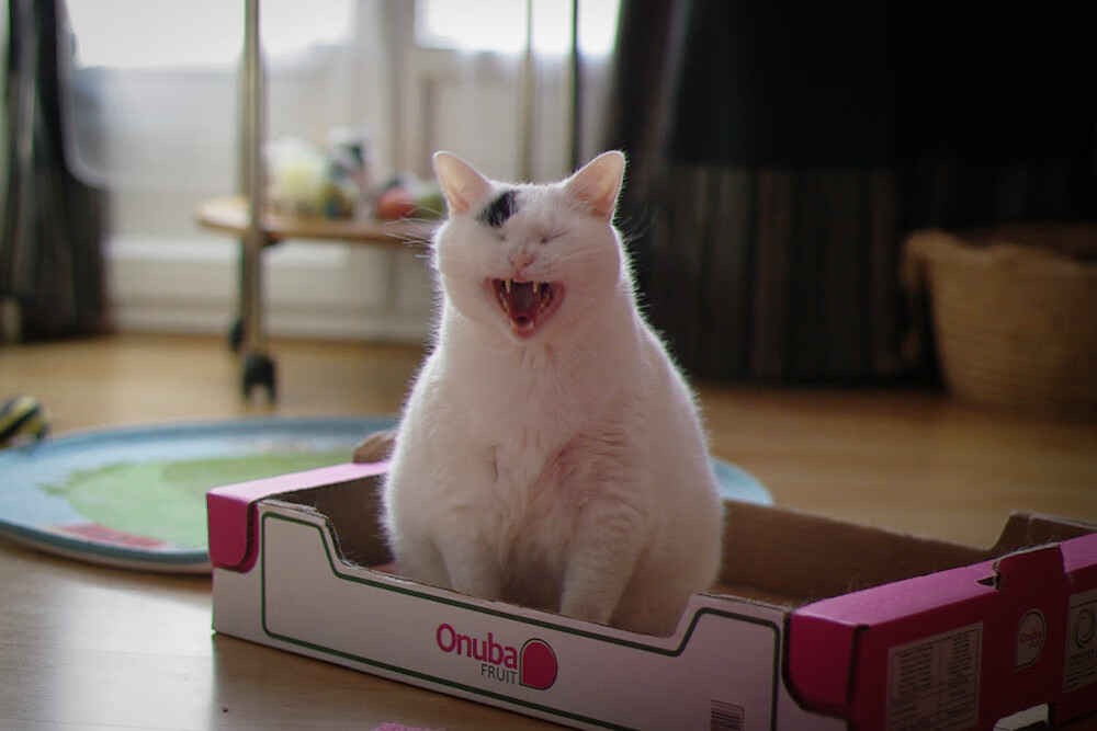 乒乓球技术分析系统投入实战测试，乒乓球技战术数据分析平台