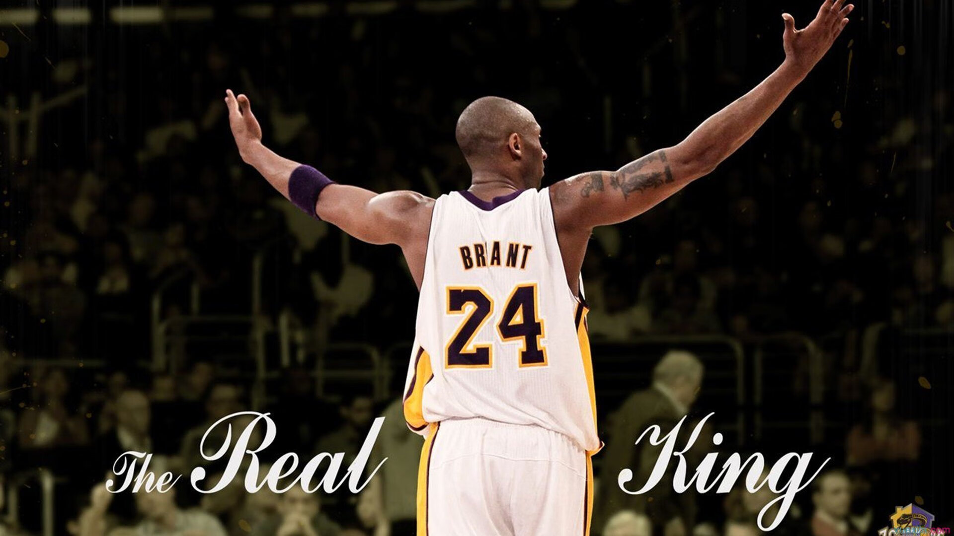 篮球赛事全球商业化发展，职业篮球商业化